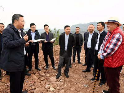 花椒基地順利接受縣委書(shū)記帶領(lǐng)縣四大班子的檢閱