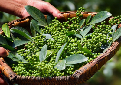 【中醫(yī)的小妙方】花椒鹽熱敷，緩解滑膜炎